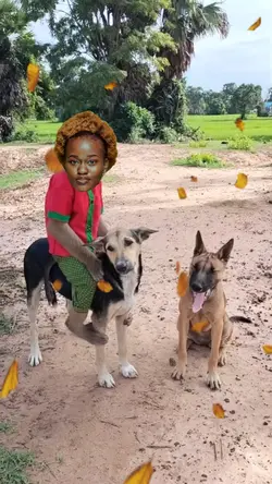Funny video 