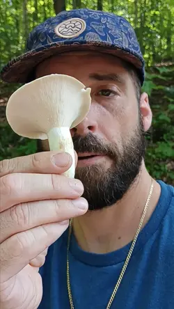 milk cap mushroom 