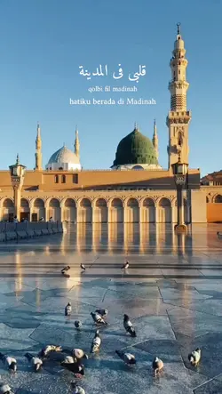 Madina vibe