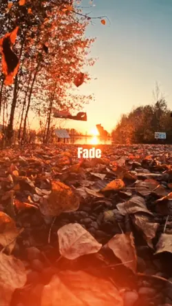 Let It Fade