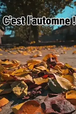 C'est l'automne !