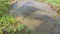 Aesthetic Slowmo 
