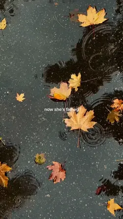 last leaves of