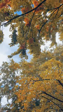 Fall 
