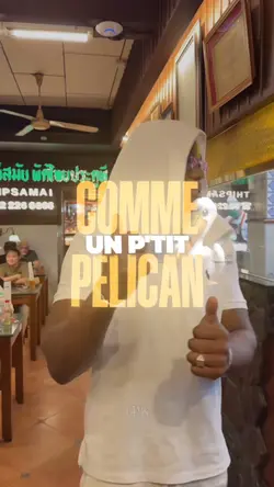 L2B - Pélican 