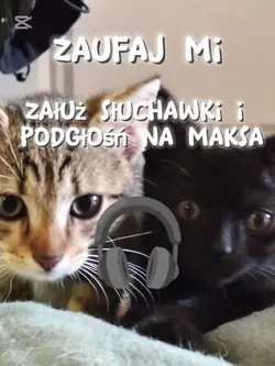 muzyka 8d