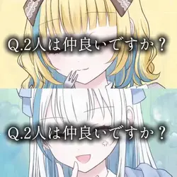 質問系
