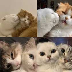 with you