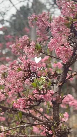 I love 
