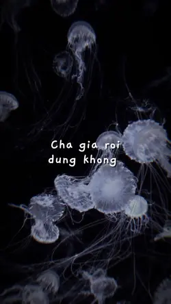CHA GIÀ RỒI ĐÚNG KH