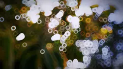 5 clip landscape