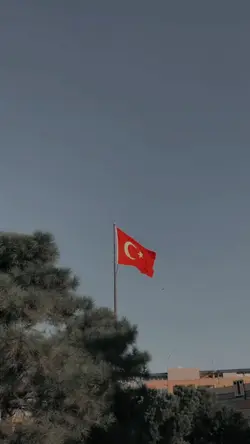 bayrak