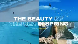 BEAUTY IN THE SEA