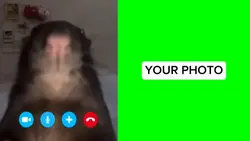RAT CALLING