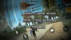 1VD + 1 ẢNH NGANG