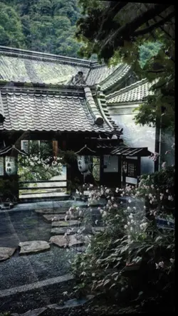 Pic 3 ảnh 