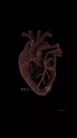 tik tok