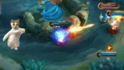 slowmo & kucingjoget