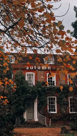 Fall autumn filter