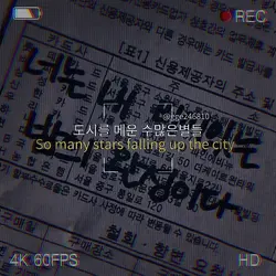 밤산책