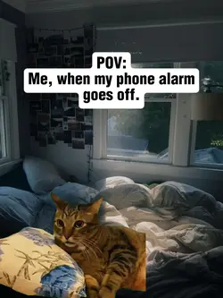Alarm Rage