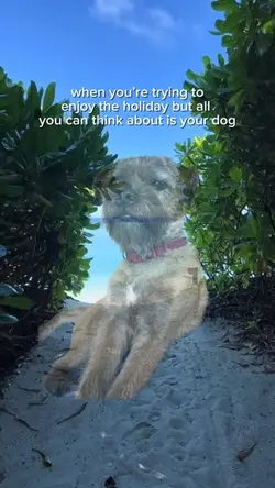 Pet trend