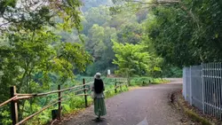 aesthetic nature vid