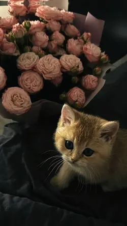 kal ho naho