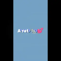 A rat