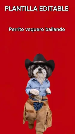 Perrit vaquero baila