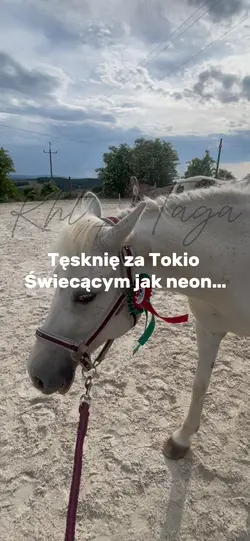 Tęsknię za Tokio💞😭