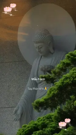 Lạy phật từ bi