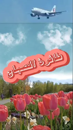 طائرة الصباح

