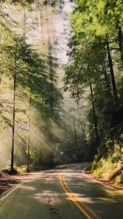 cinematic 4K nih