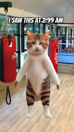 cat super dance