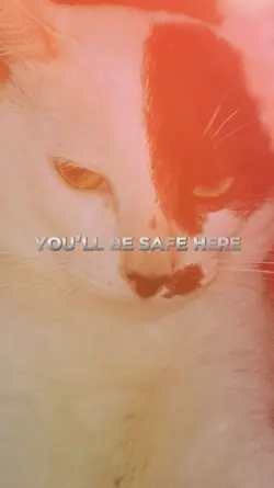YOU'LL BE SAFE HERE