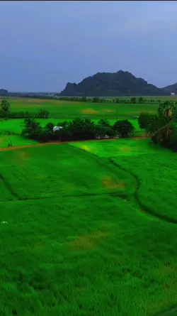  Chill + cảnh đẹp 
