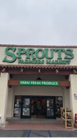Spouts 
