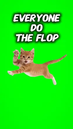 cat do the flop