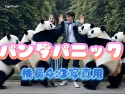 広い場所の人間の写真がおすすめです😊️