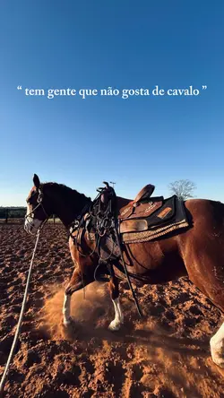 Não é meu caso…