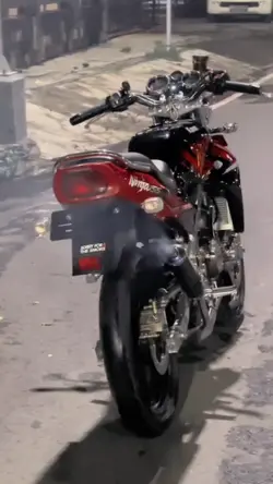 ninja ss