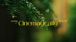 Natural Cinematic 