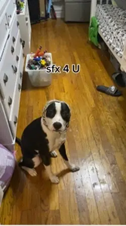 sfx 4 u