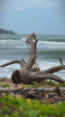 Cinematic kece 