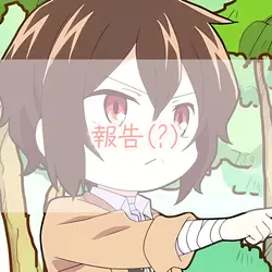 報告(🫡)