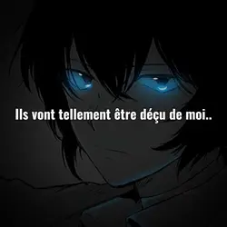 Ils vont être déçu 