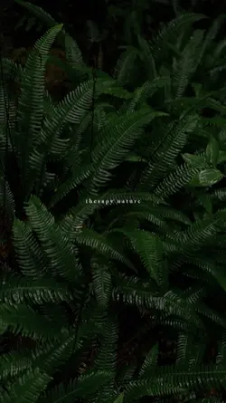 therapy nature