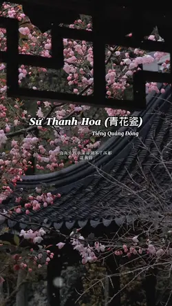 Sứ Thanh Hoa 青花瓷