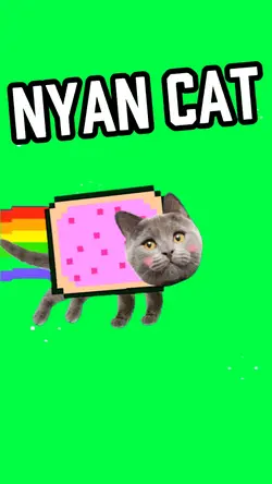 NYAN CAT MEME